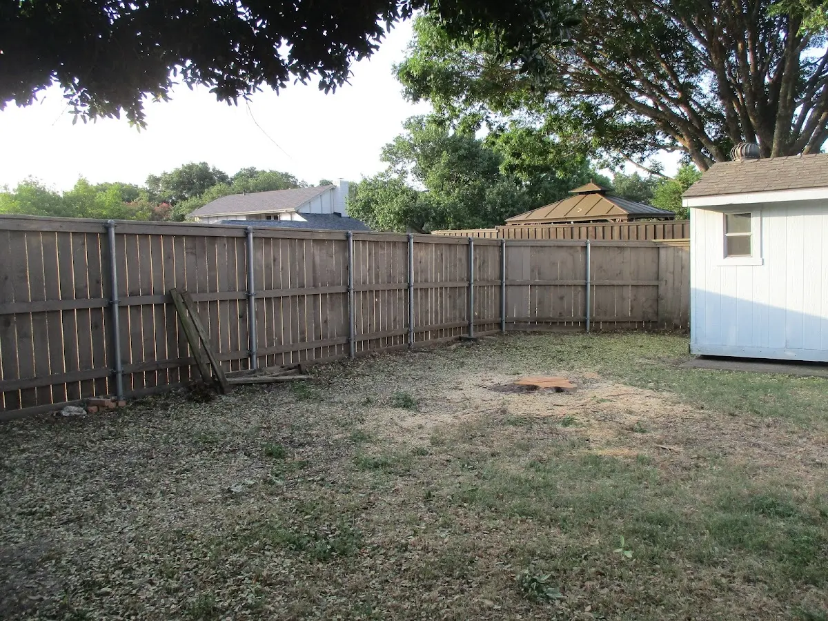 Cleared yard after professional tree removal in Leggett